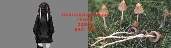 герыч Лагань