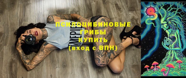 твердый Куйбышев