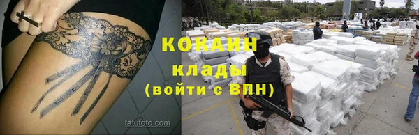 сатива Бронницы